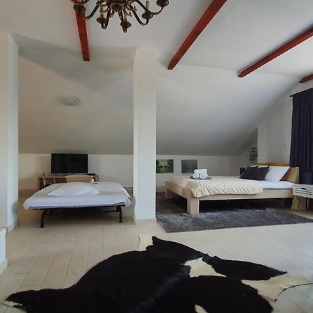 Villa Mons Aureus Popovac Екстериор снимка