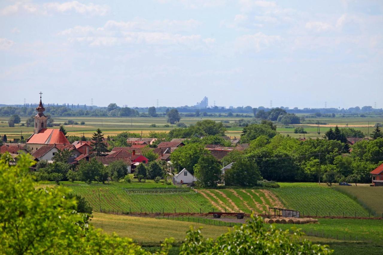 Villa Mons Aureus Popovac Екстериор снимка