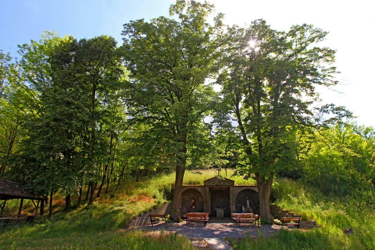 Villa Mons Aureus Popovac Екстериор снимка