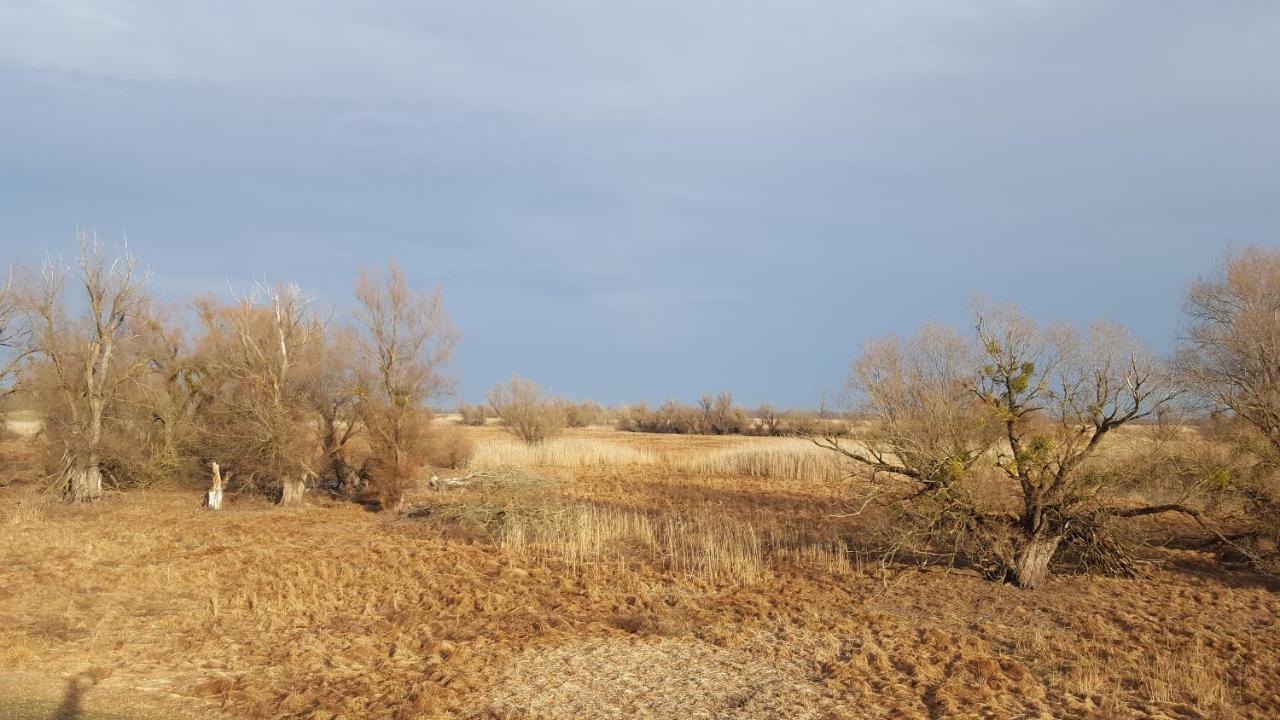 Villa Mons Aureus Popovac Екстериор снимка