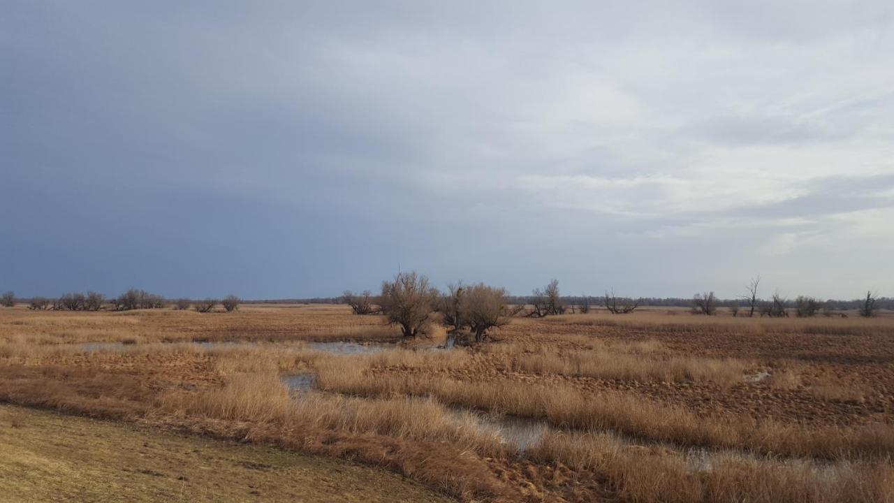 Villa Mons Aureus Popovac Екстериор снимка